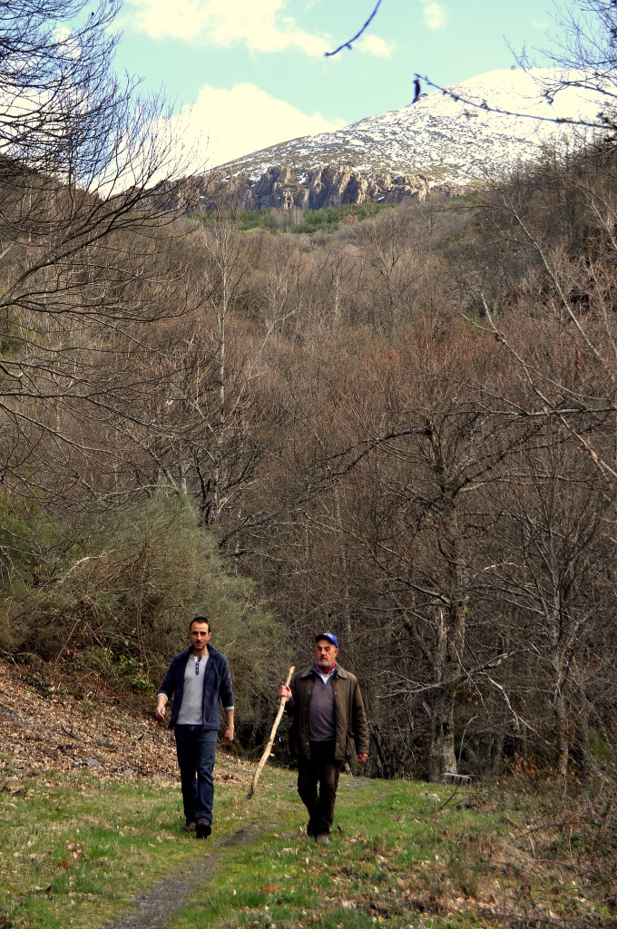 Valle de San Adrián, con la Aquiana (1.840 m.) al fondo,