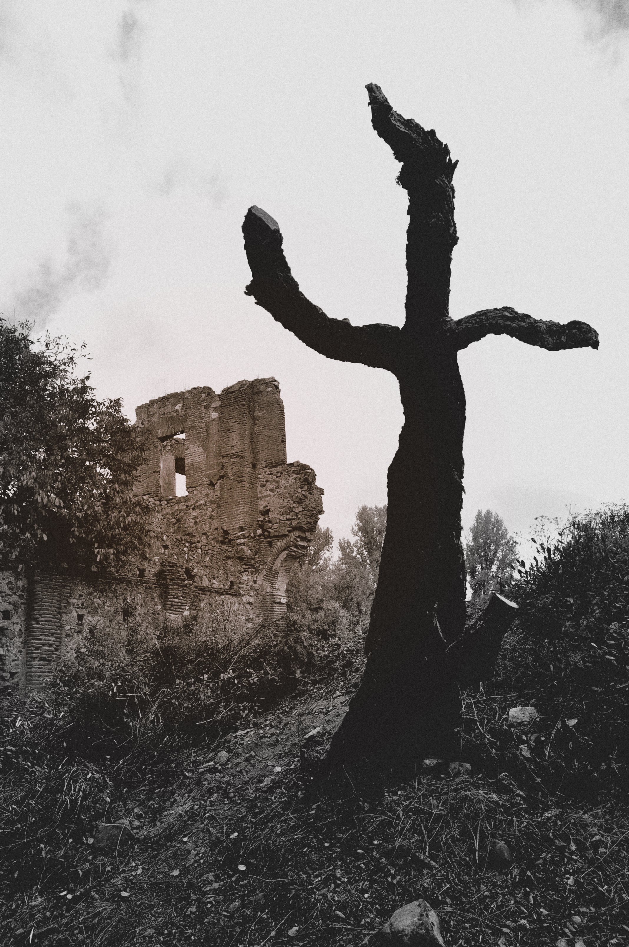 El fantasma de Nogales pretende escapar de las ruinas.