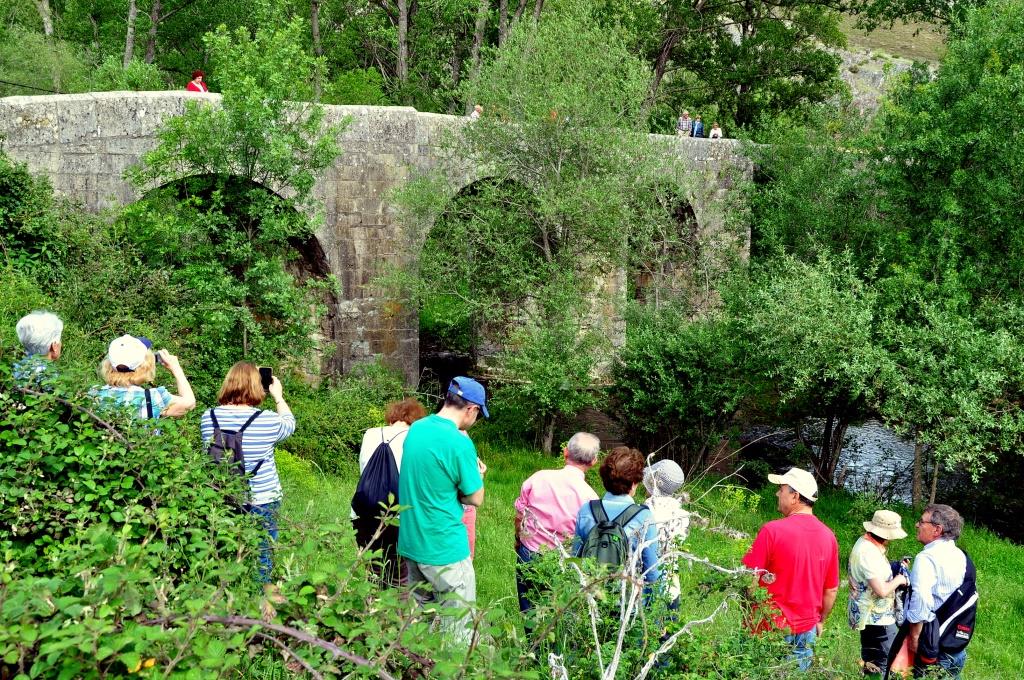 Puente de Boñar sobre el Porma.