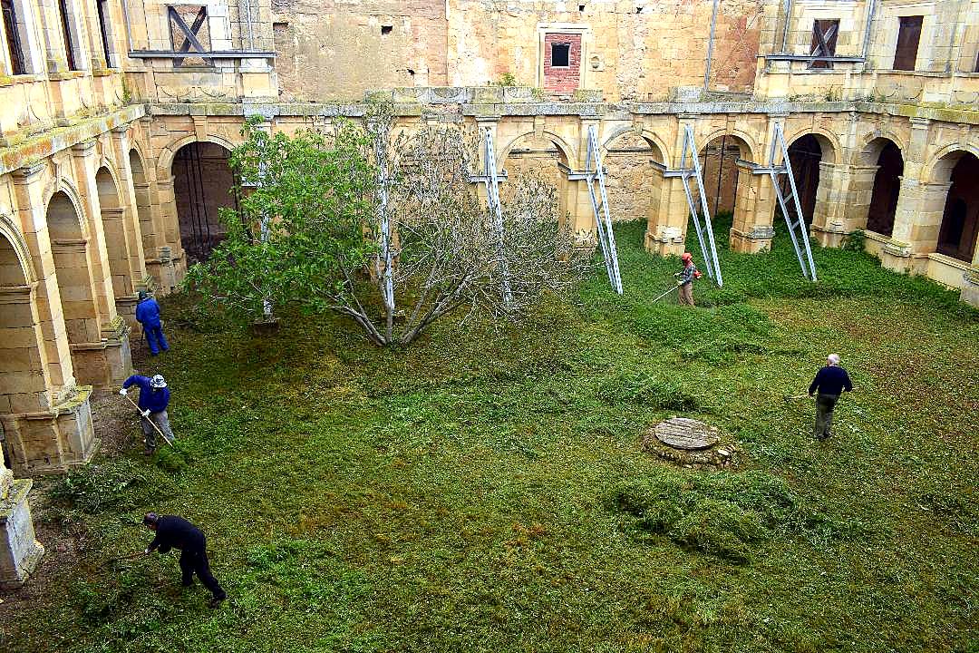 Desbroce en el claustro