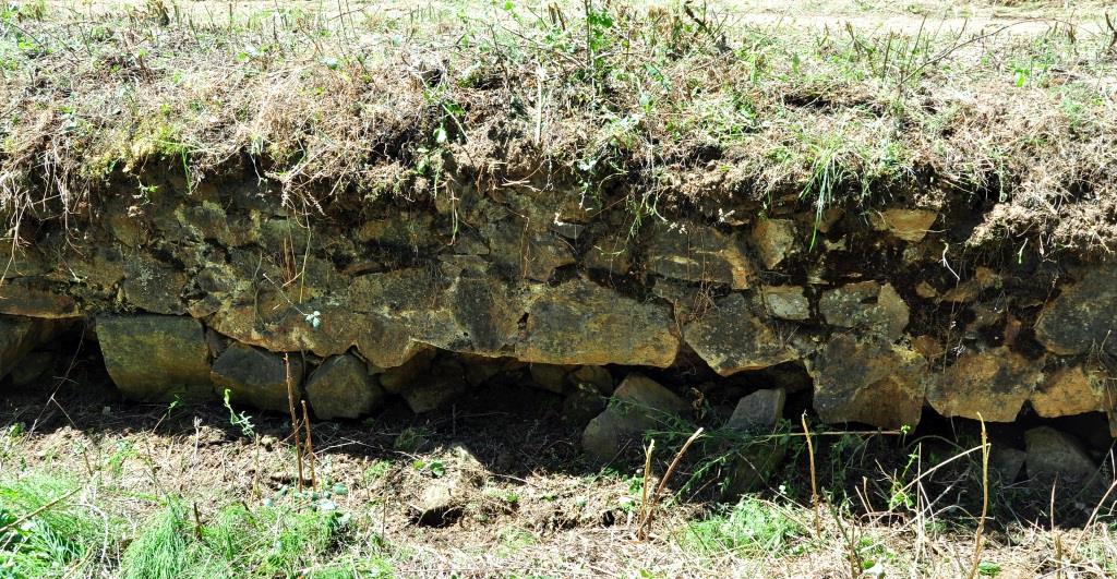 El murete de contención lateral de la calzada se está descalzando en algunos tramos.