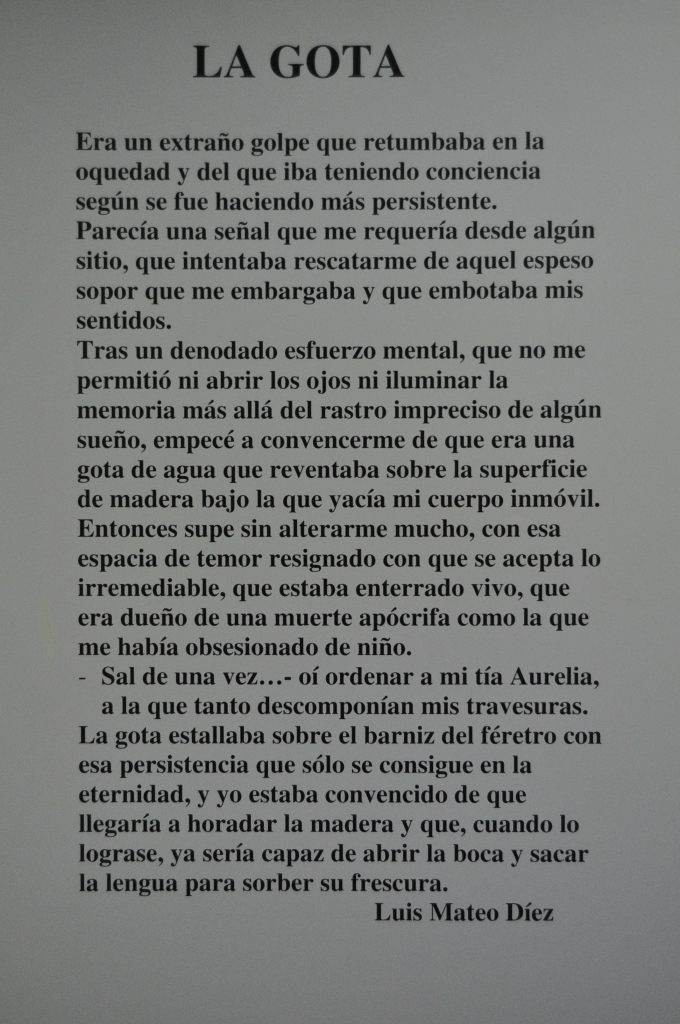 Texto de Luis Mateo Díez a la anterior pintura de Gemma.
