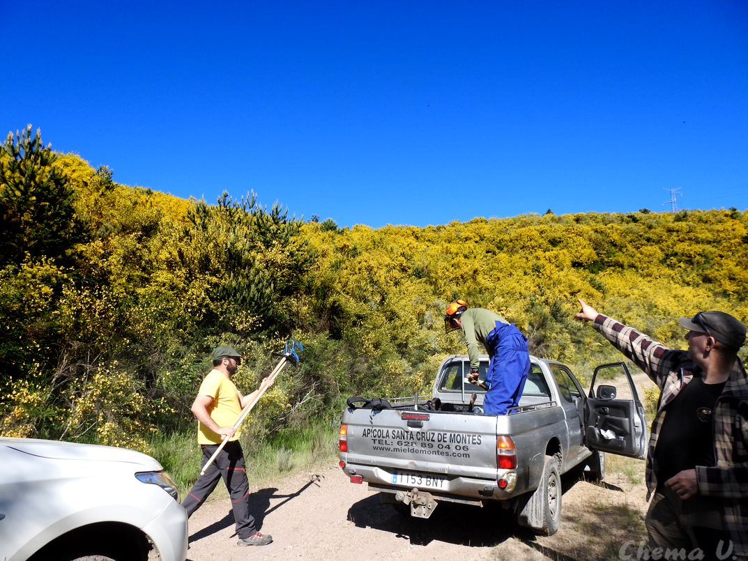 PROMONUMENTA. HACENDERA SANTIBÁÑEZ DE MONTES. 28.5.22 CHEMA 2