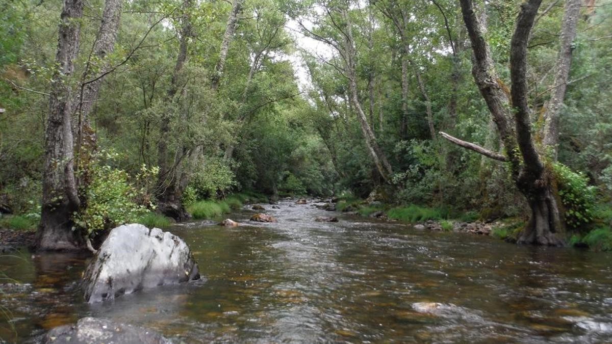 Río Cabrera. Ileón