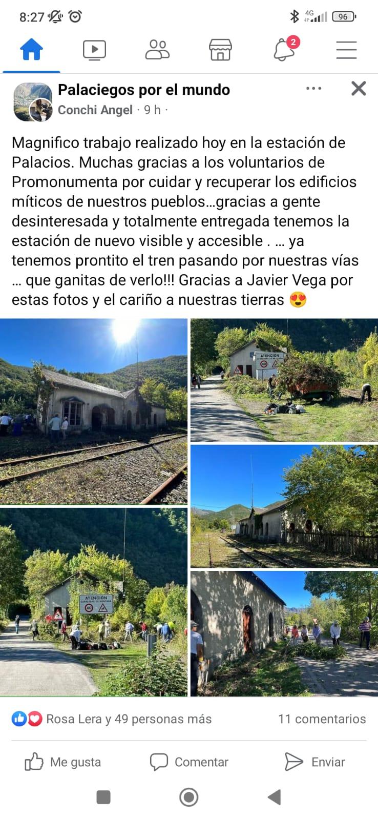 PROMONUMENTA. Hacendera Estación Palacios del Sil